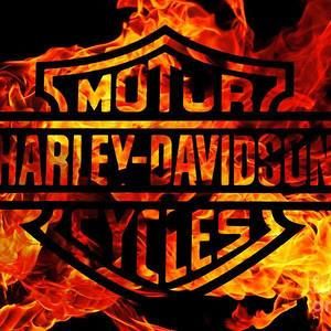 Meet your Posher, Tony